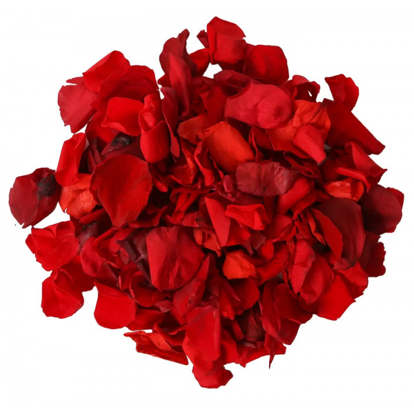 500 Pétales de Roses rouges en soie